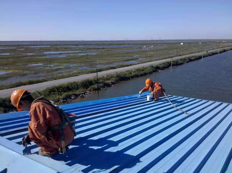 武清彩钢瓦屋面防腐翻新